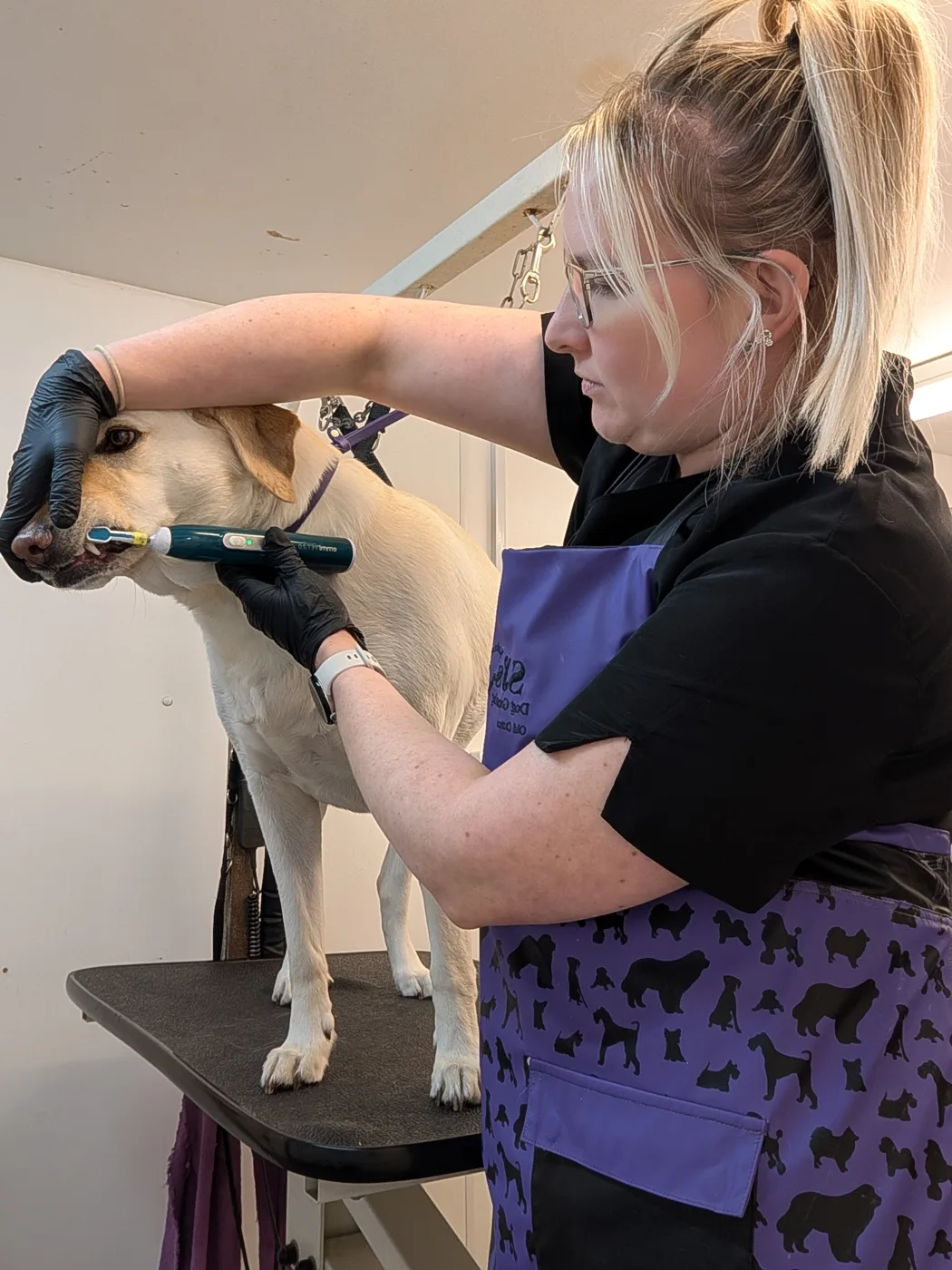 Sarah caring for a dog at SJ’s Rebarkable